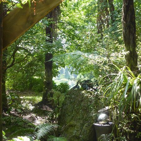 Mount Tutu Eco-Sanctuary Bed & Breakfast Ohauiti Ngoại thất bức ảnh
