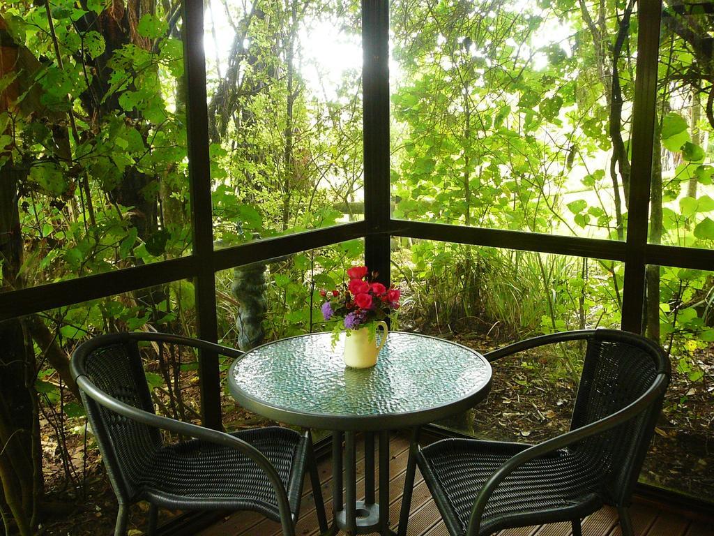 Mount Tutu Eco-Sanctuary Bed & Breakfast Ohauiti Phòng bức ảnh